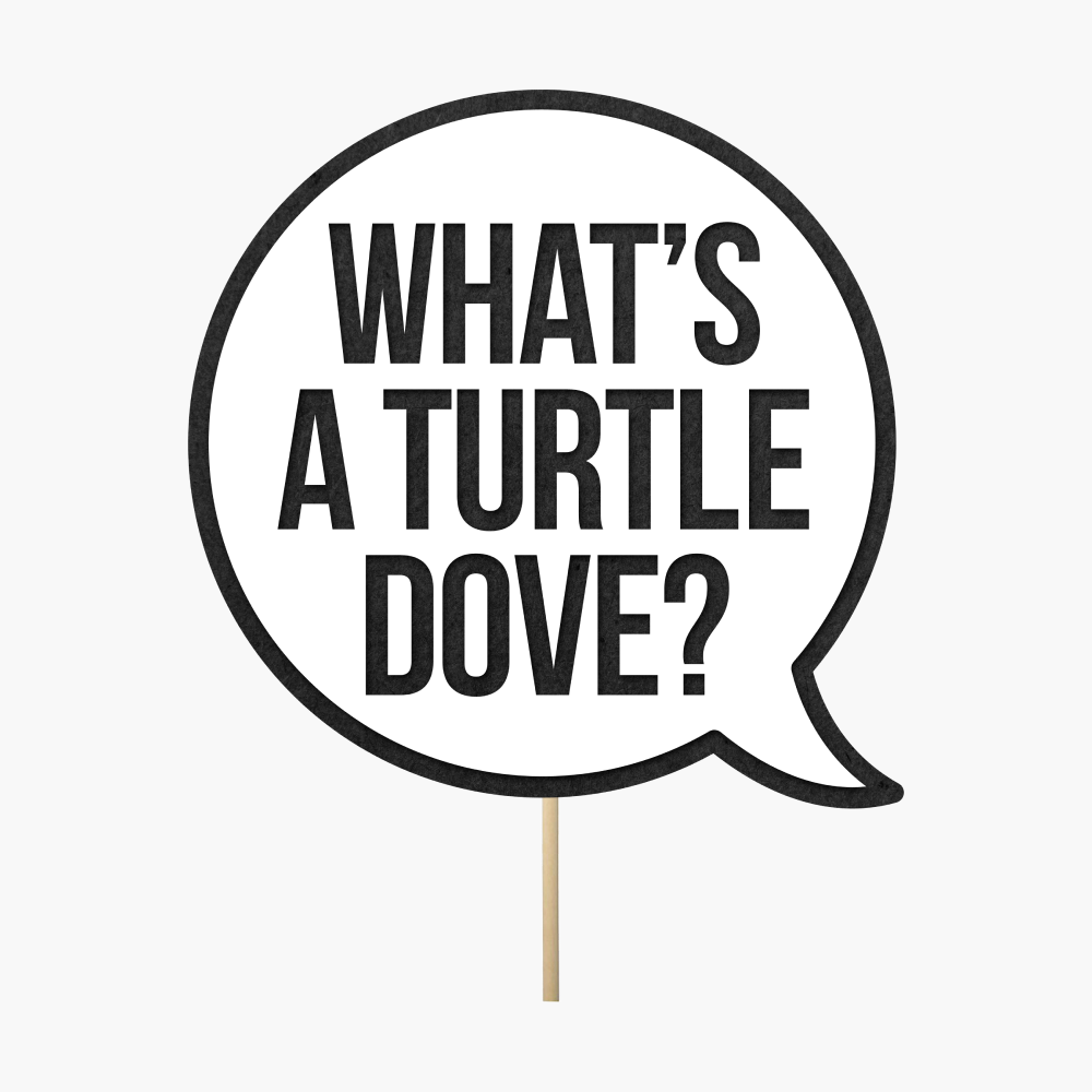 Speech bubble "What's a turtle dove?"